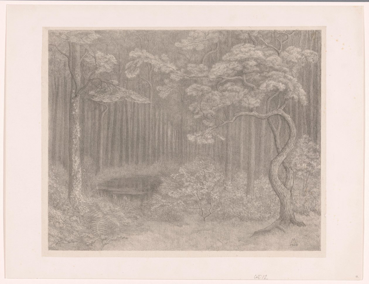Paysage forestier - Simon Moulijn