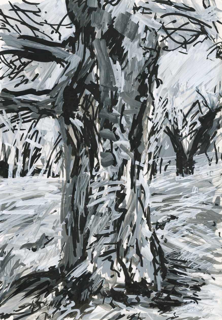 Vieil arbre, Richmond Park (peinture acrylique et encre sur papier) - Simon Neville