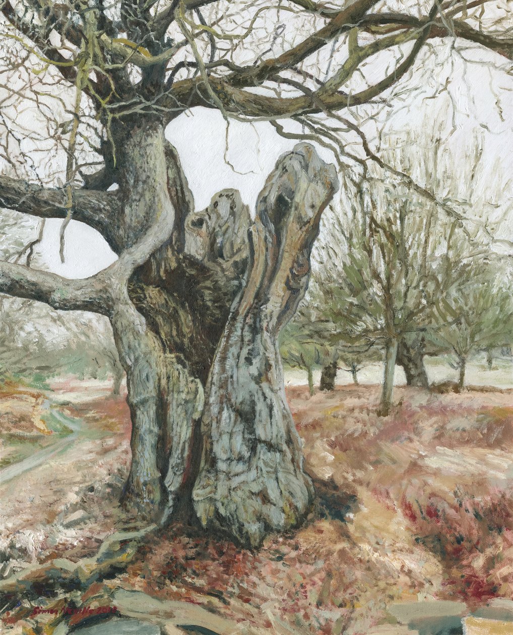 Vieil arbre, Richmond Park, 2018 (huile sur lin) - Simon Neville