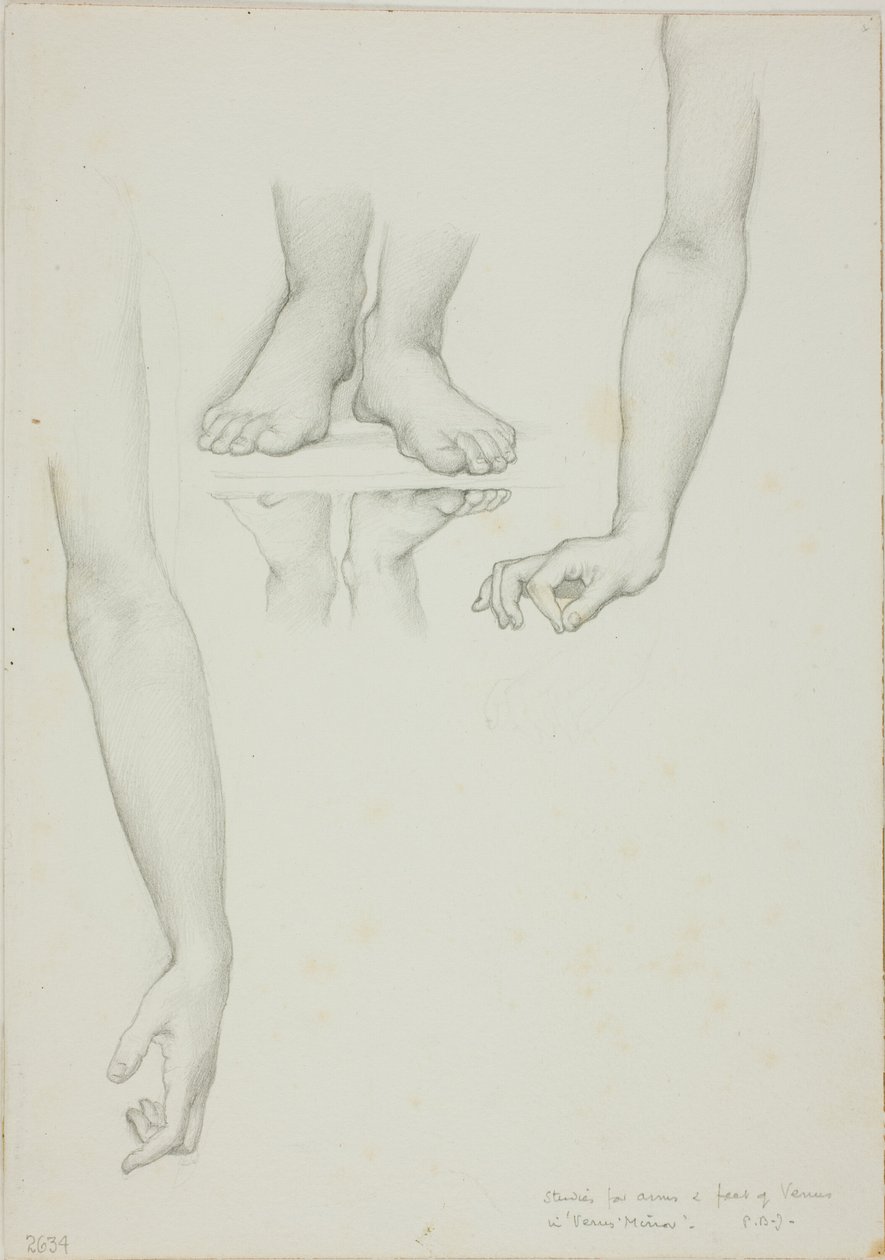 Étude pour le Miroir de Vénus : Bras et pieds de Vénus - Sir Edward Burne Jones