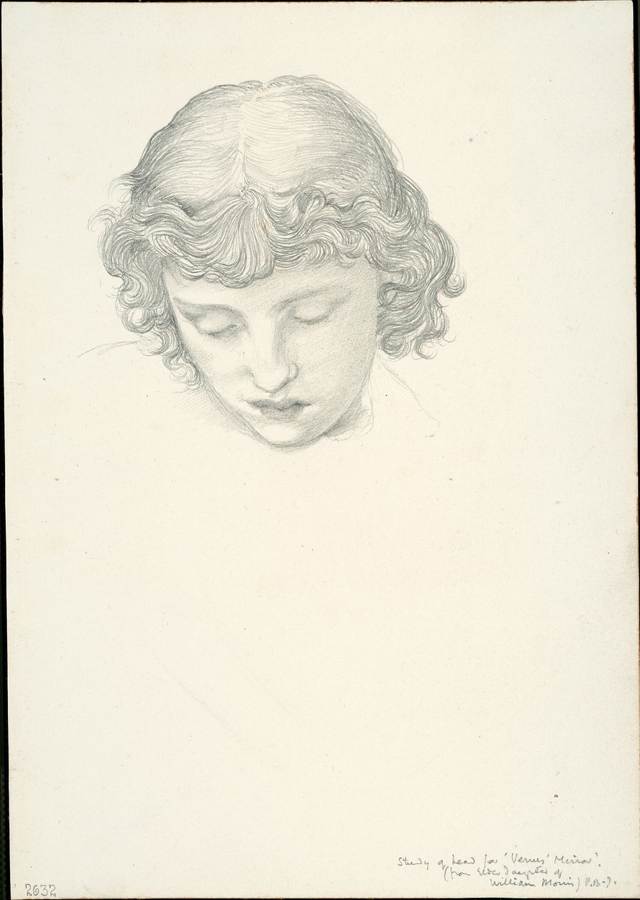 Étude pour Miroir de Vénus : Tête - Sir Edward Burne Jones