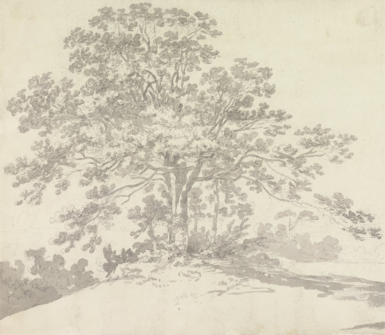 Arbre - Sir George Howland Beaumont seventh Baronet