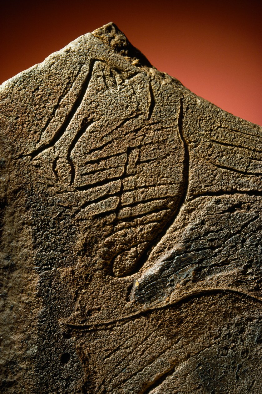 Gravure élégante d