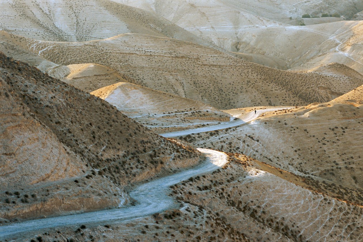 Israël, Judée : Scène des collines de Judée à l