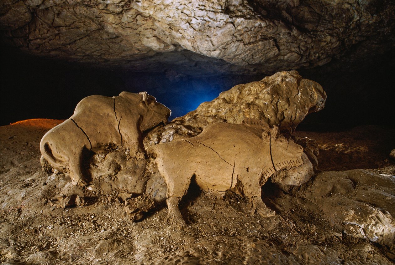 Les Bisons d