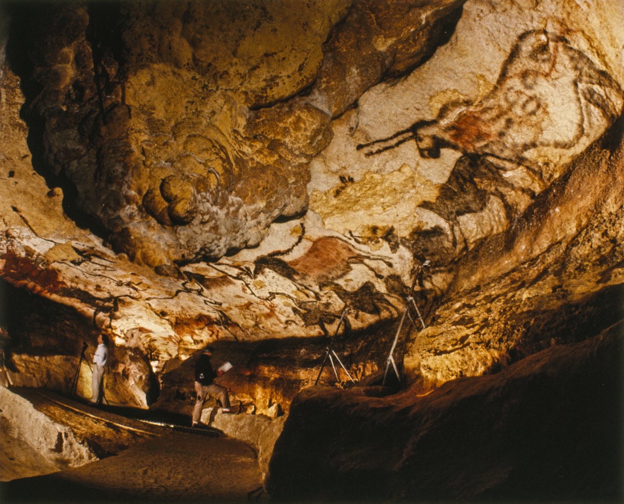 La Licorne Mythique de Lascaux et autres peintures de Lascaux datant de plus de 17 000 ans - Sisse Brimberg