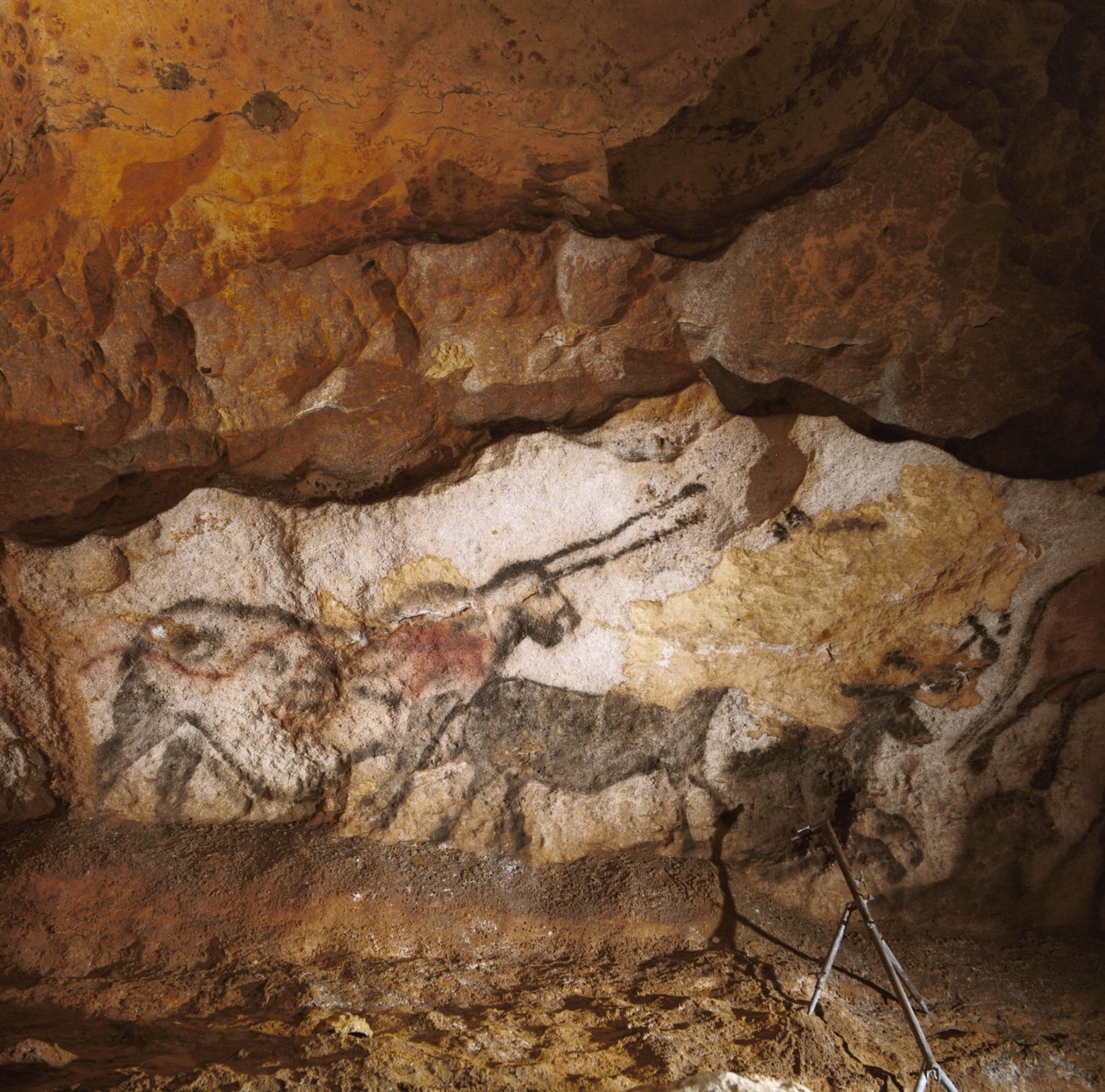 La Licorne Mythique de Lascaux peinte il y a plus de 17 000 ans sur la calcite blanche. - Sisse Brimberg