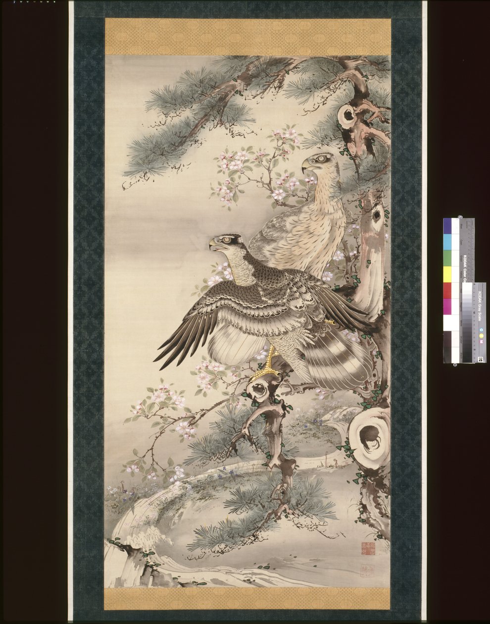 Paire de faucons avec branche et fleurs - Soga Shohaku