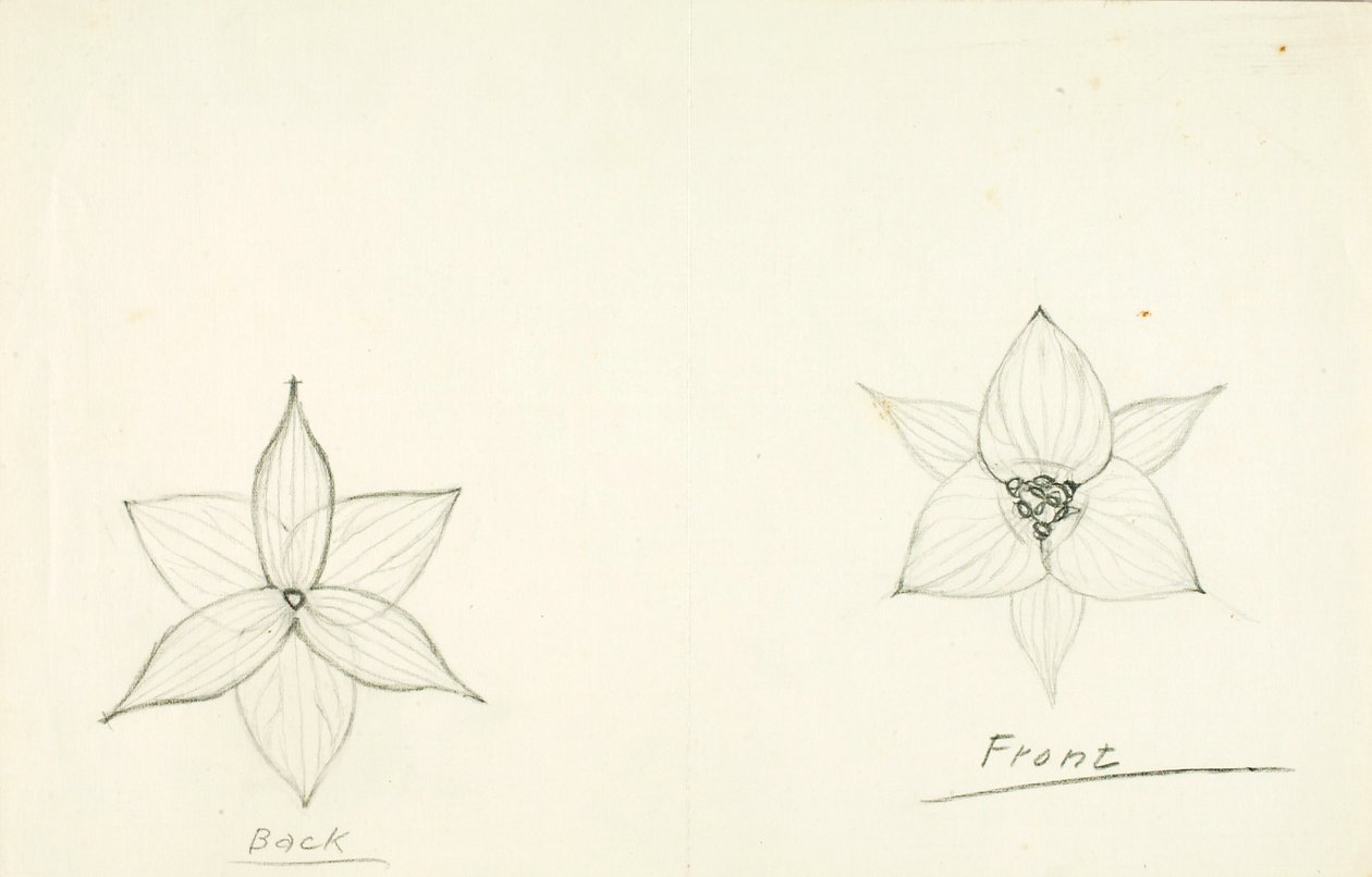 Cadre de la fleur - Solon H. Borglum