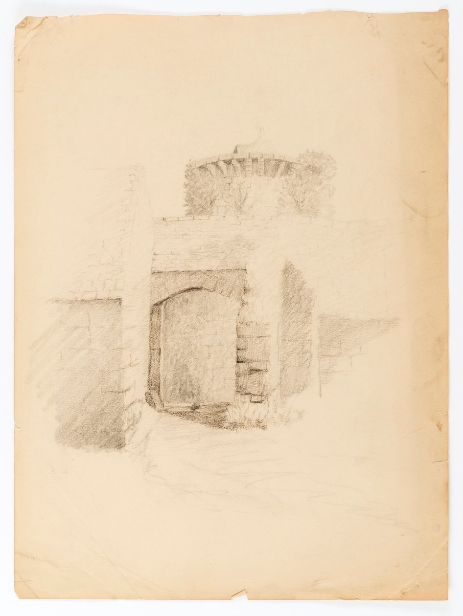 Le Chateau de Chevenevase - Solon H. Borglum