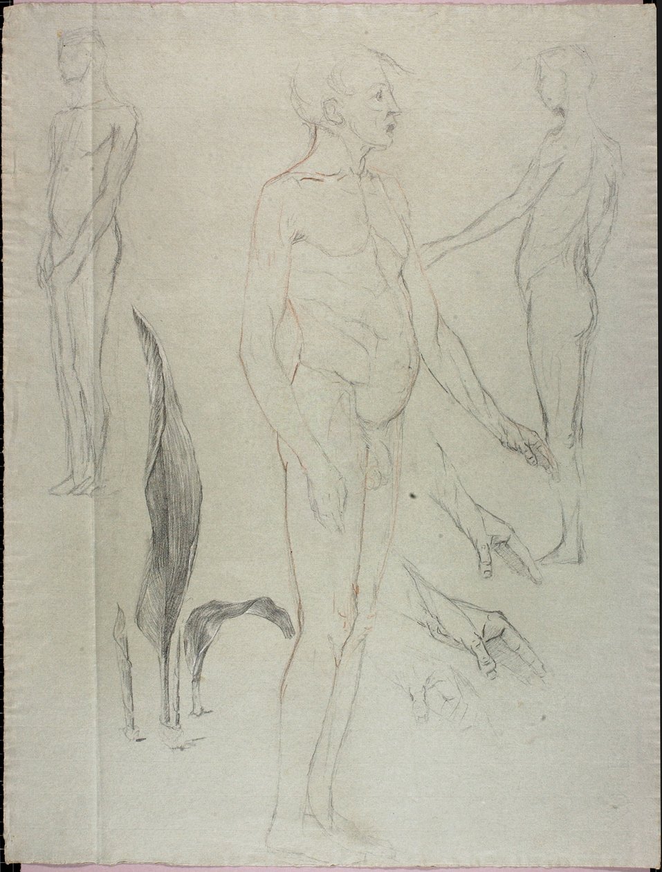 Nus et feuilles - Solon H. Borglum