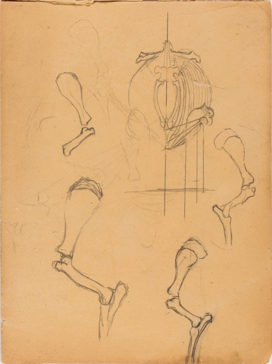 Carnet de croquis - Solon H. Borglum