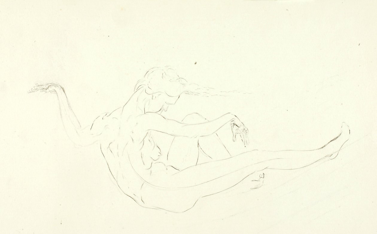 Nager nu - Solon H. Borglum
