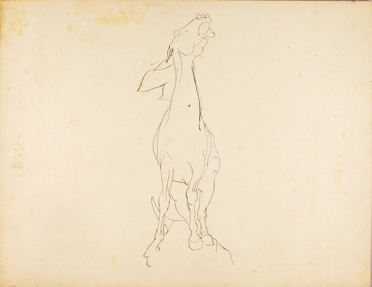 Sans titre - Solon H. Borglum