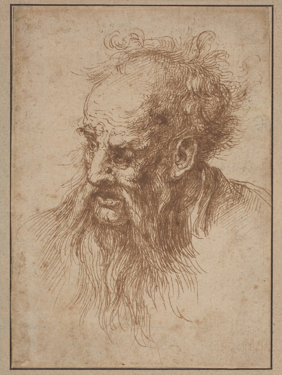 Un vieil homme à la barbe flottante - Spanish 17th Century