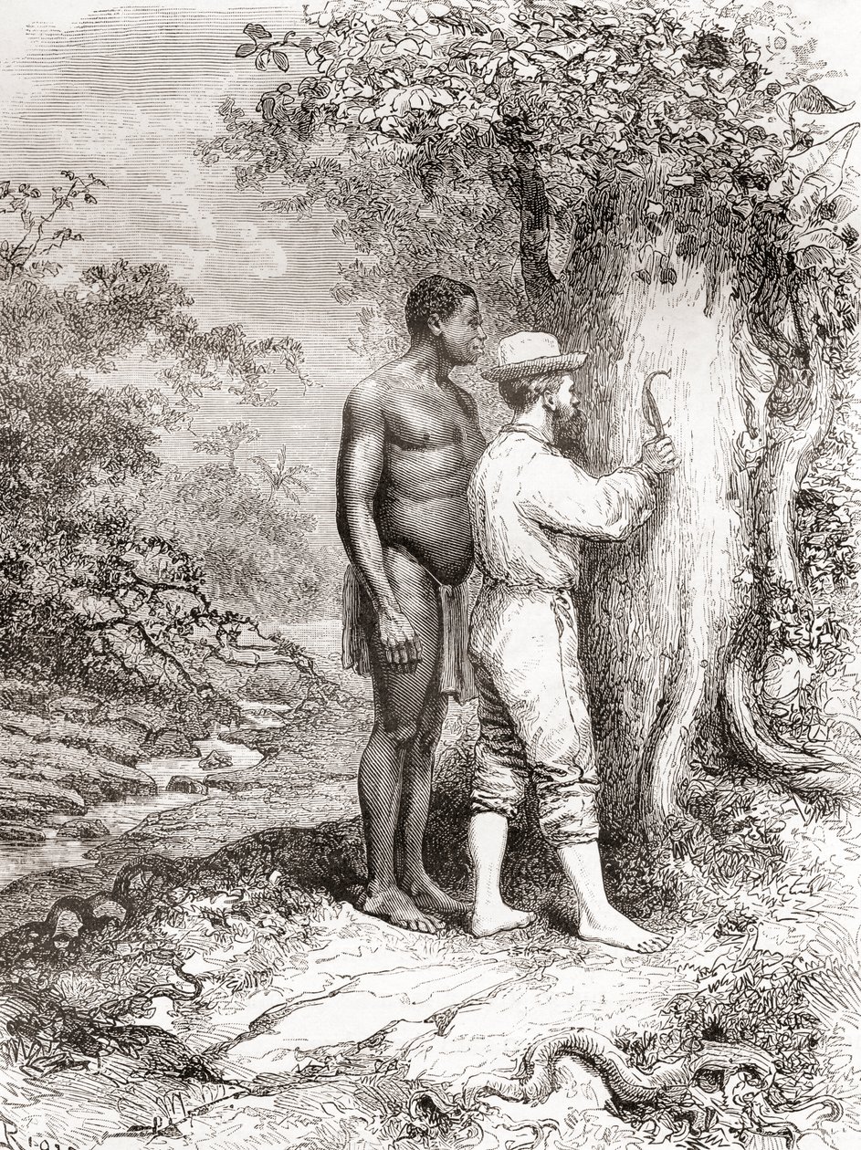 Jules Crevaux, lors de son exploration de la Guyane française en 1878, gravant ses initiales sur un arbre sur les rives du fleuve Oyapock ou Oiapoque - Spanish School