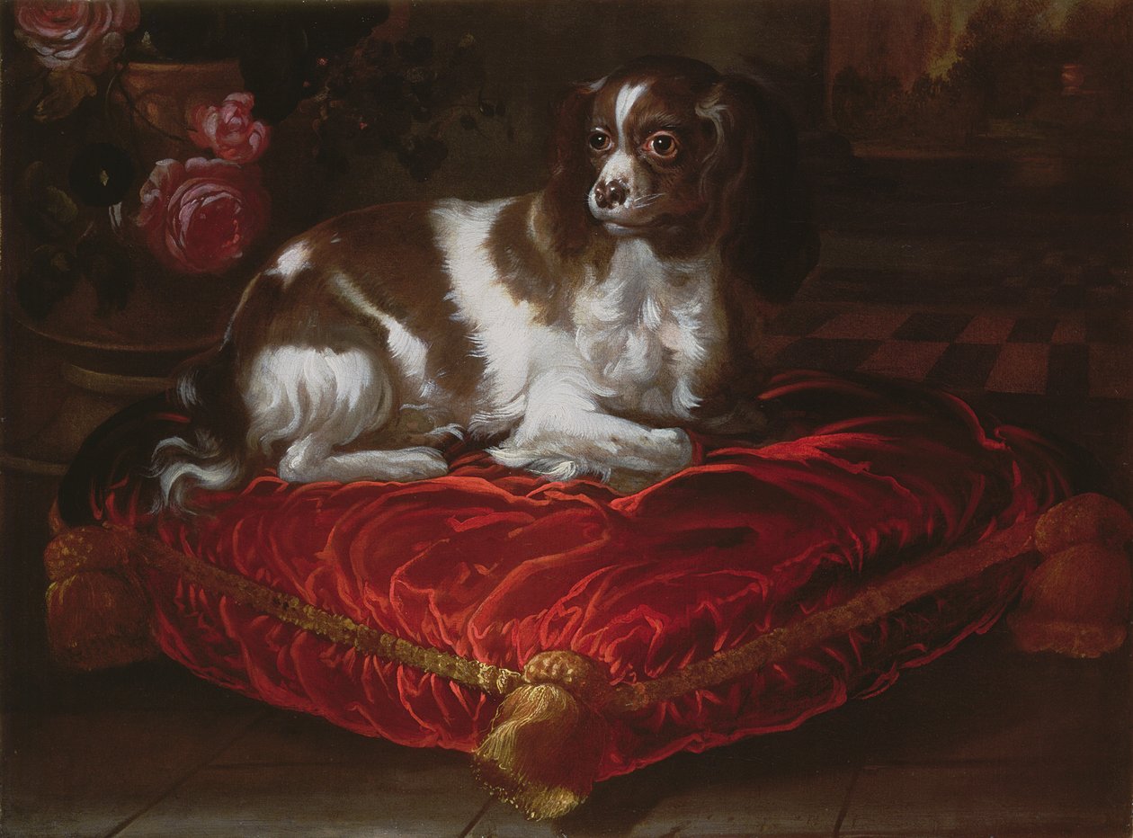 Épagneul sur un coussin - Spanish School