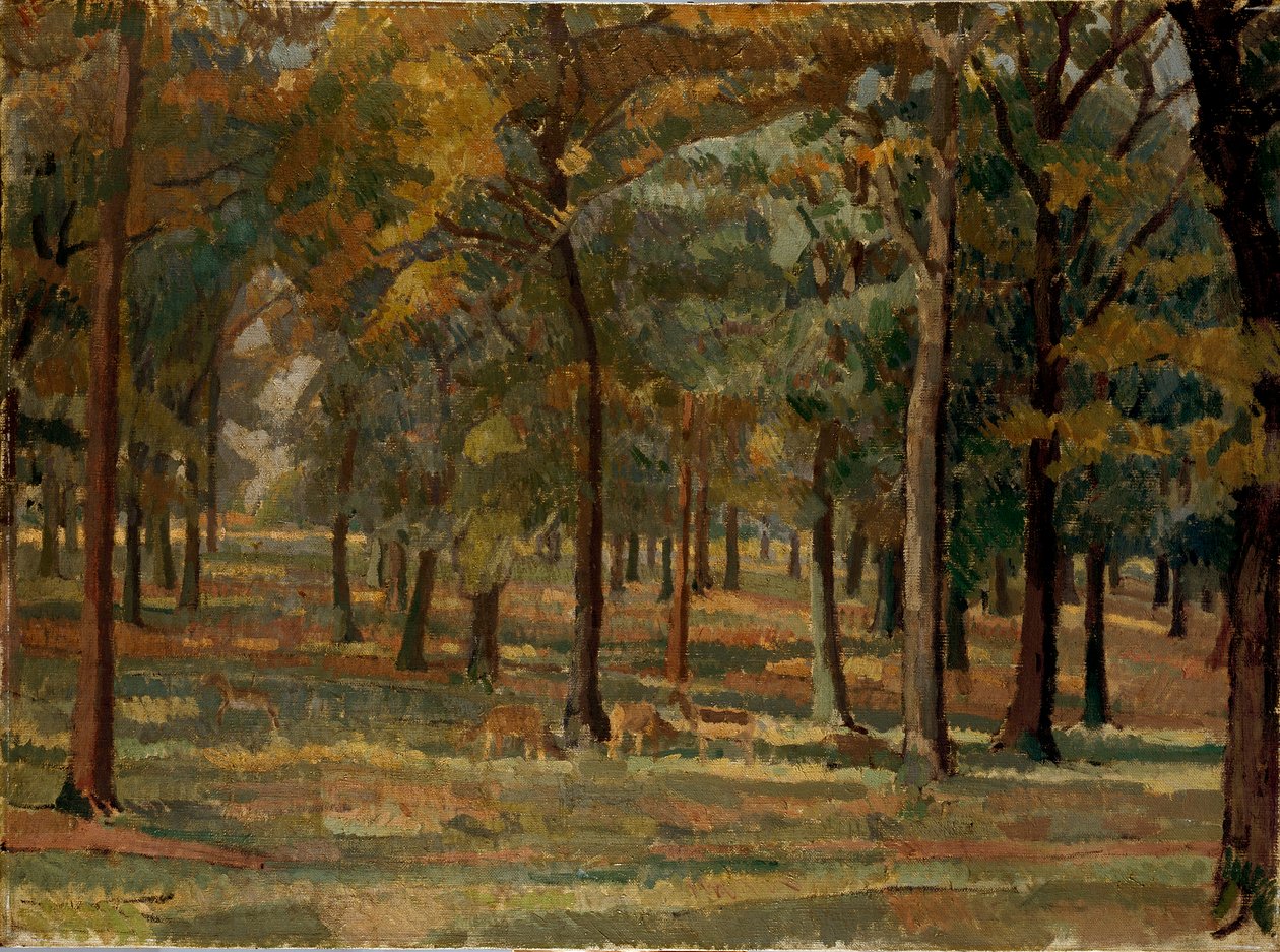 Parc de Richmond, 1914 - Spencer Gore
