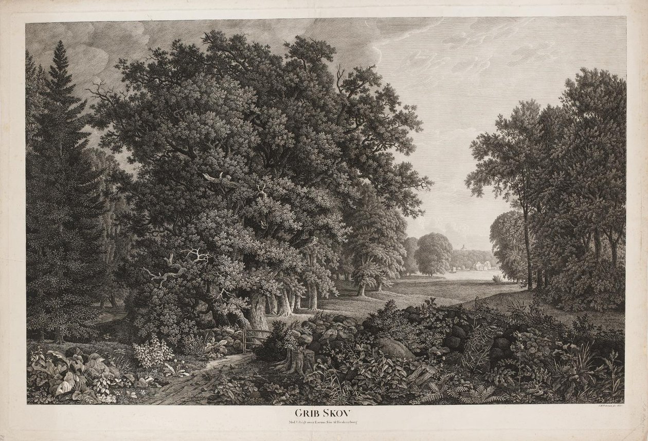 Forêt de Grib avec vue sur le lac Esrum vers Fredensborg - Søren Henrik Petersen