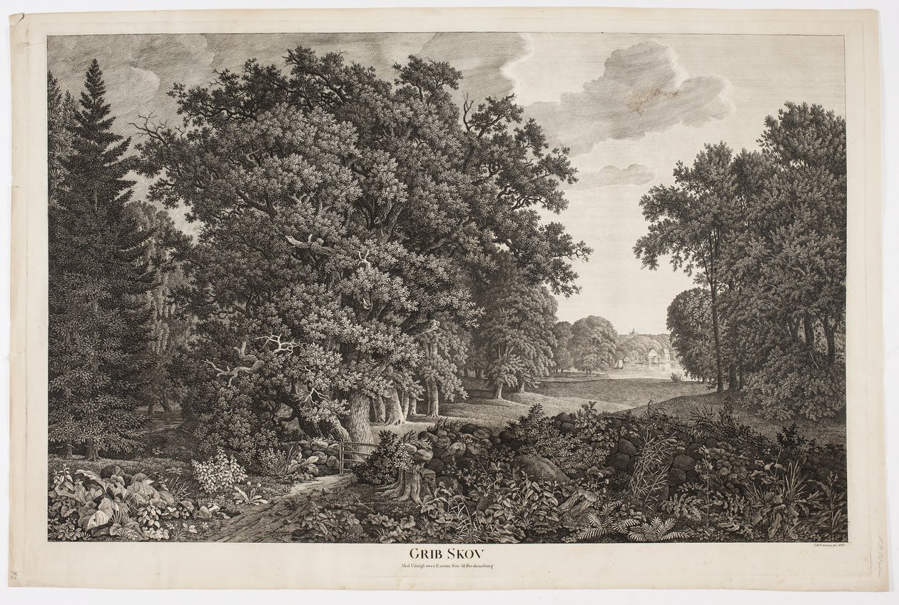 Grib Skov avec vue sur Esrum Sø vers Fredensborg - Søren Henrik Petersen