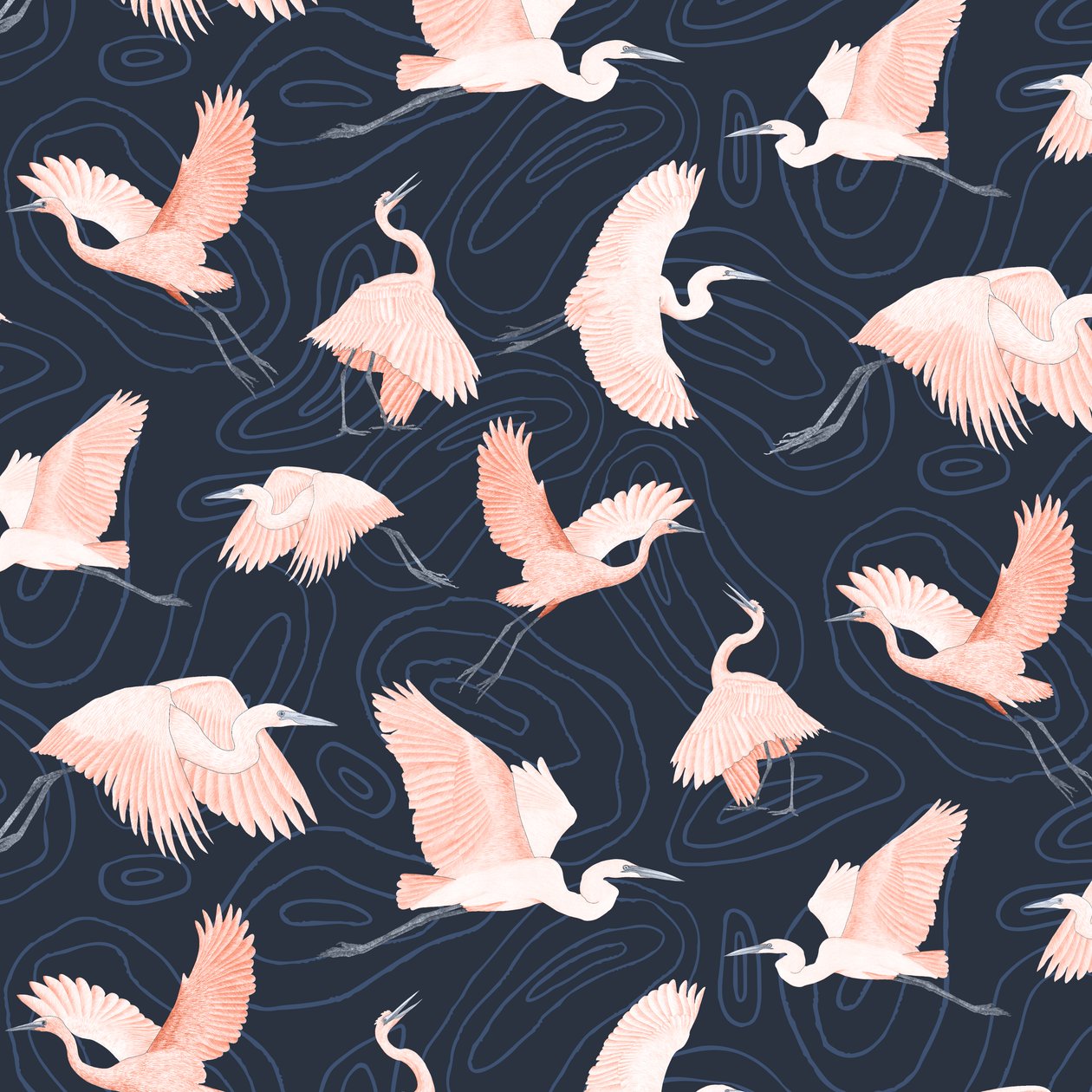 Motif d