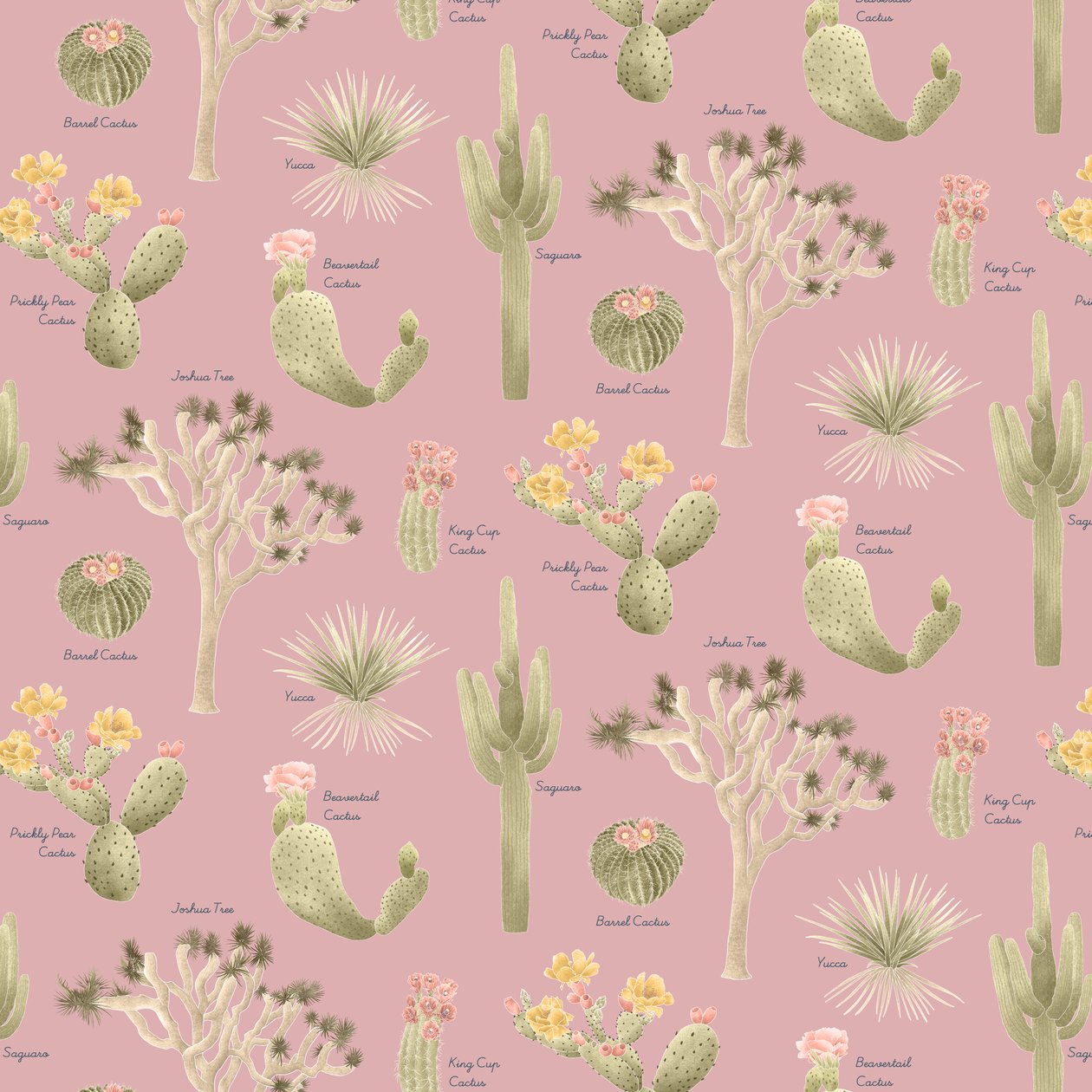 Motif de cactus du désert de Mojave, 2021 - Stacy Hsu