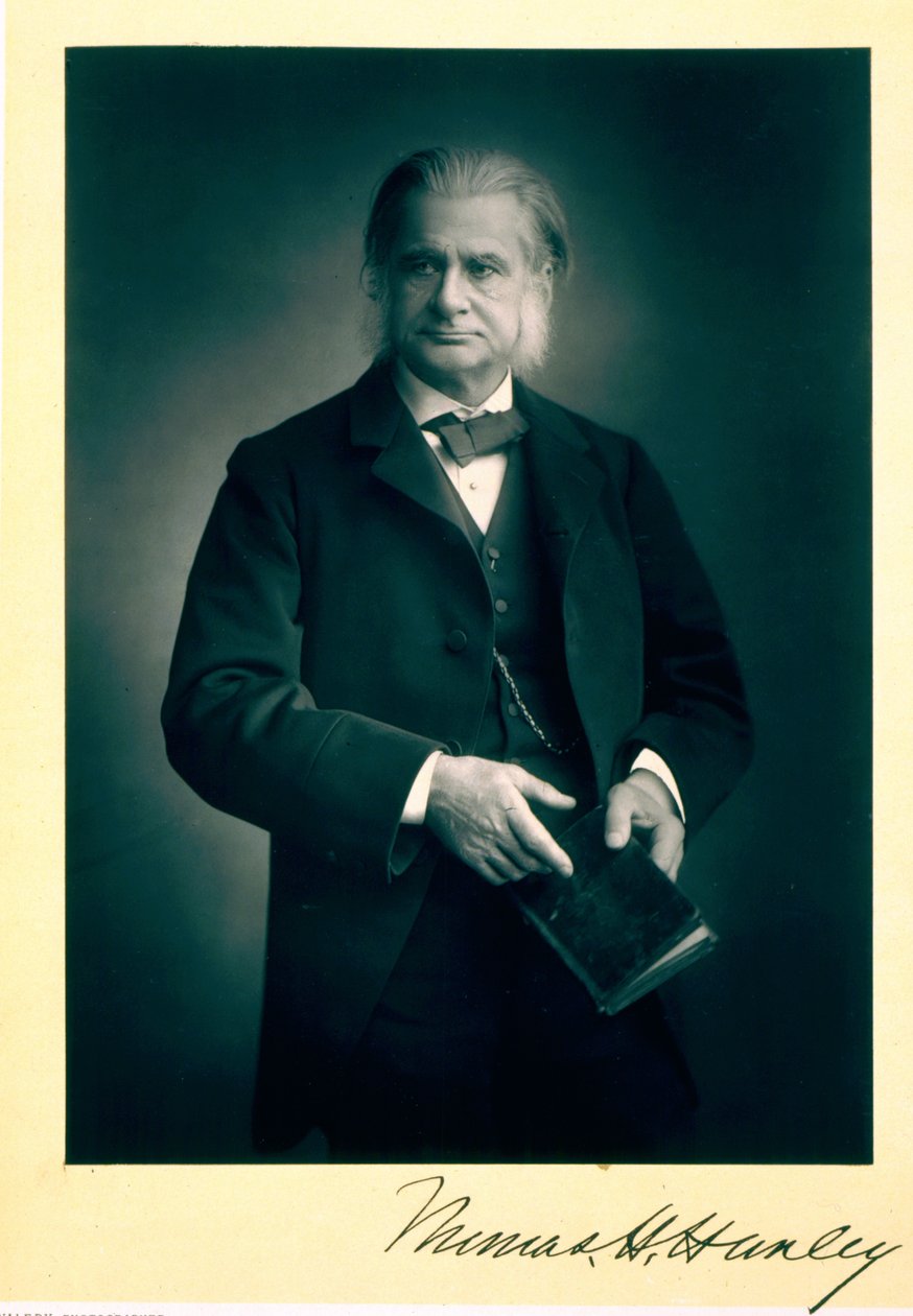 Professeur Thomas H. Huxley (1825-95), biologiste, portrait photographique - Stanislaus Walery