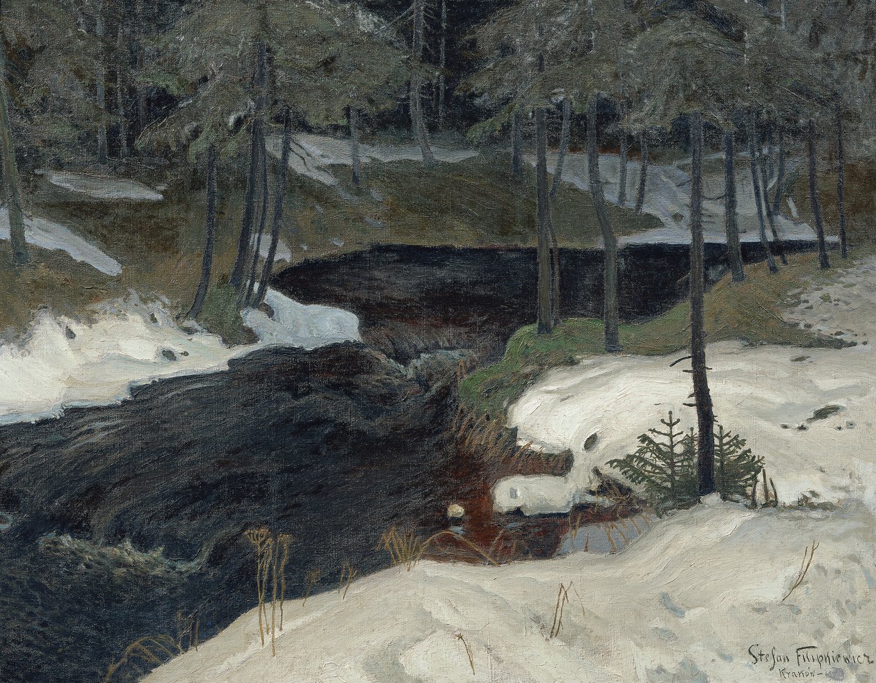 Bergstrom - Stefan Filipkiewicz