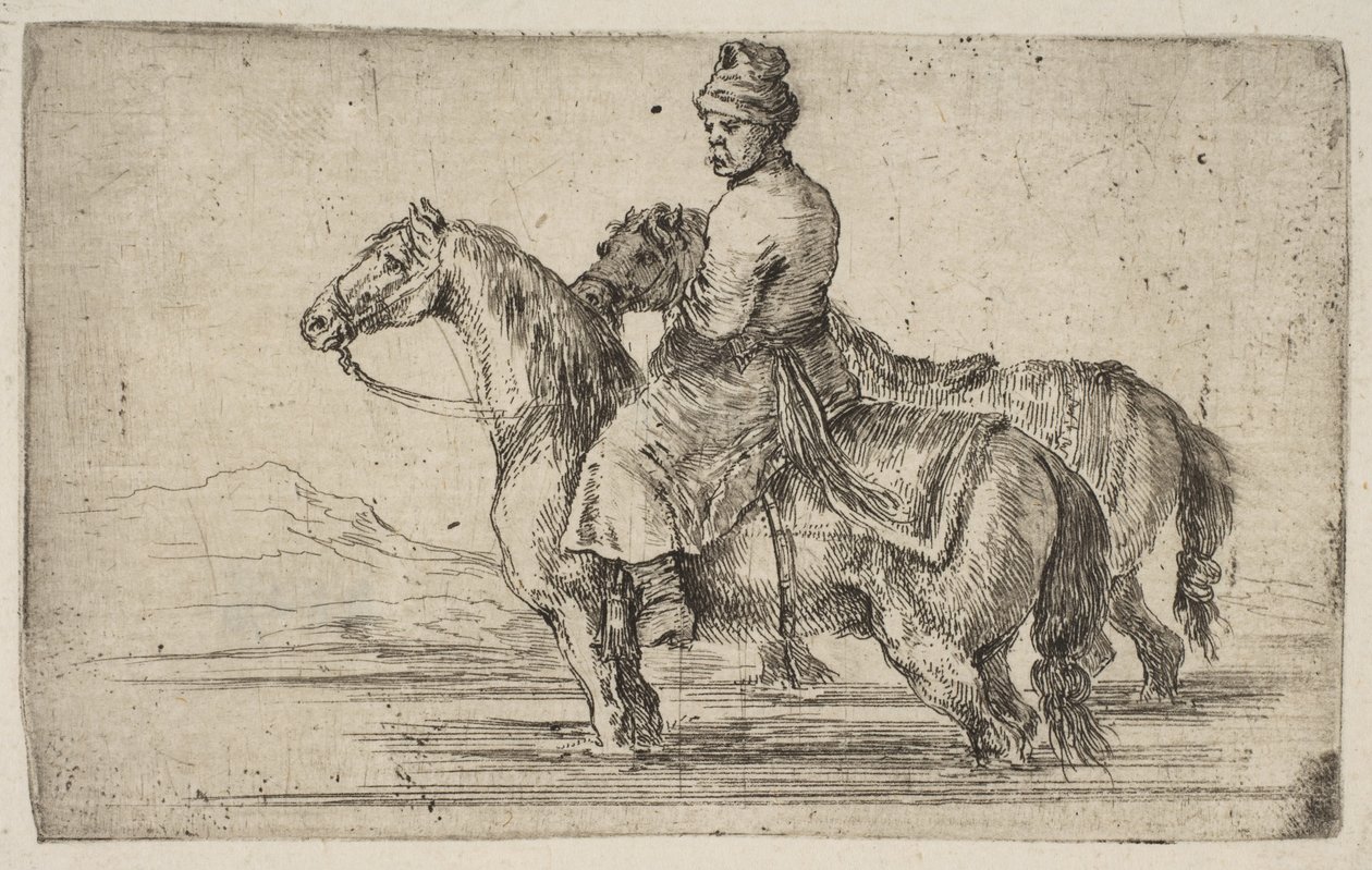 Un palefrenier polonais baignant des chevaux - Stefano della Bella