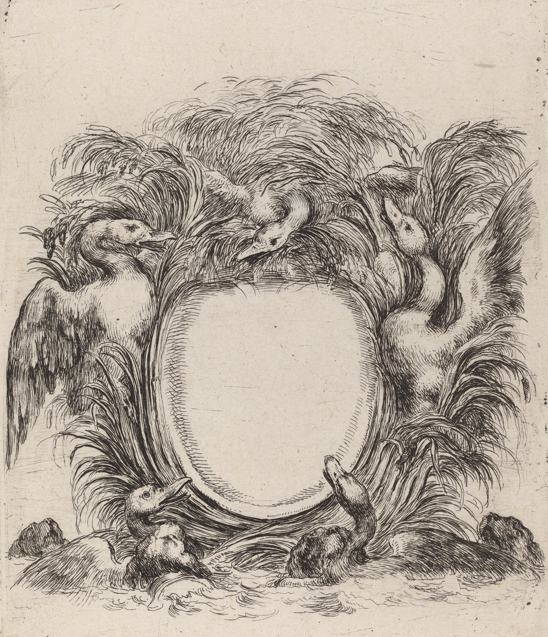 Cartouche avec des canards et des chiens - Stefano della Bella