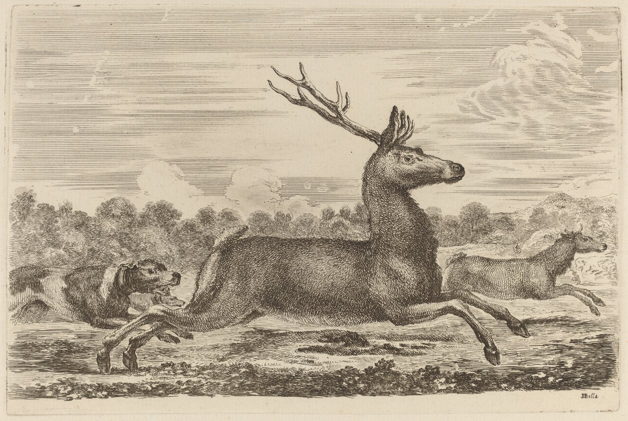 Cerf Poursuivi par Deux Chiens à Gauche - Stefano della Bella