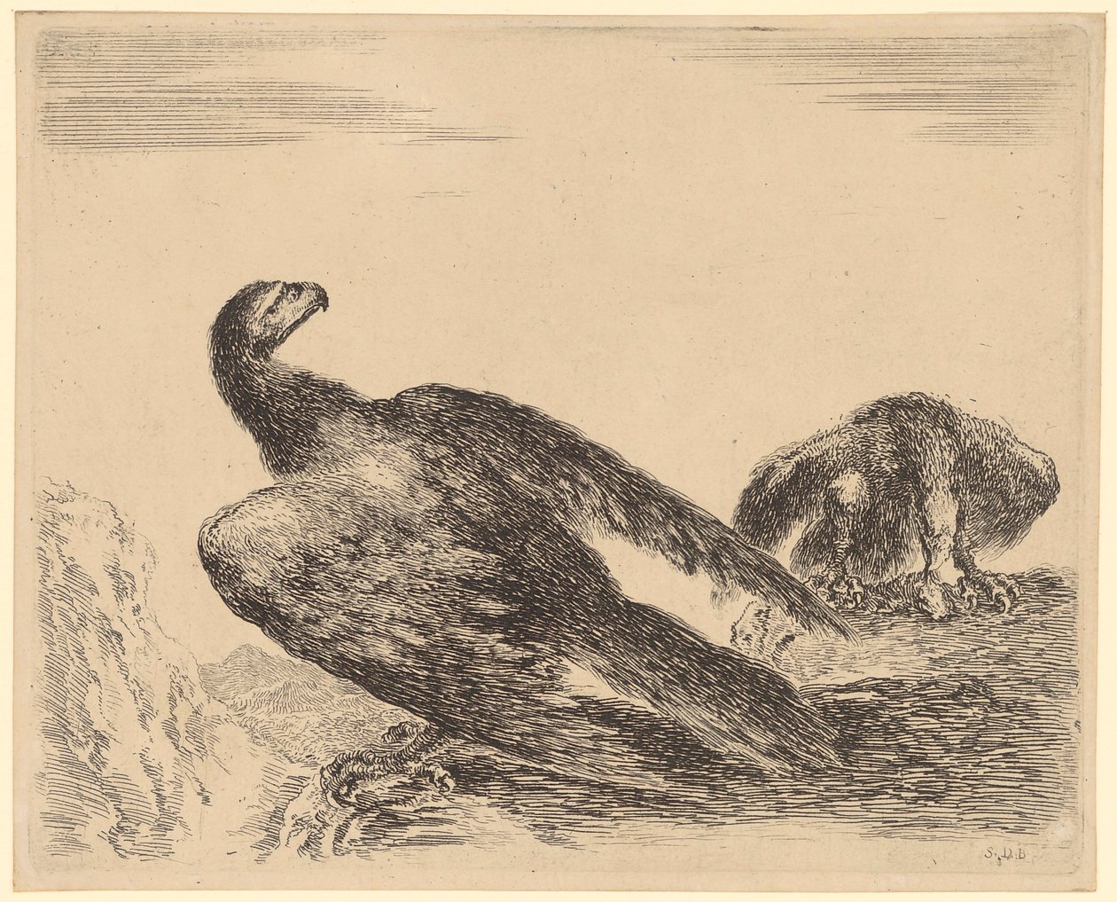 Aigle déployant ses ailes et se nourrissant, feuille n° 4 de la série « Aigle » - Stefano della Bella