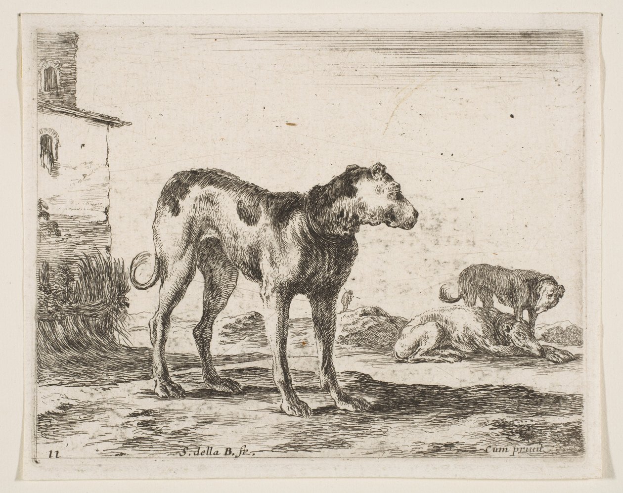 Planche 11 : chiens, de Divers animaux, vers 1641 - Stefano della Bella