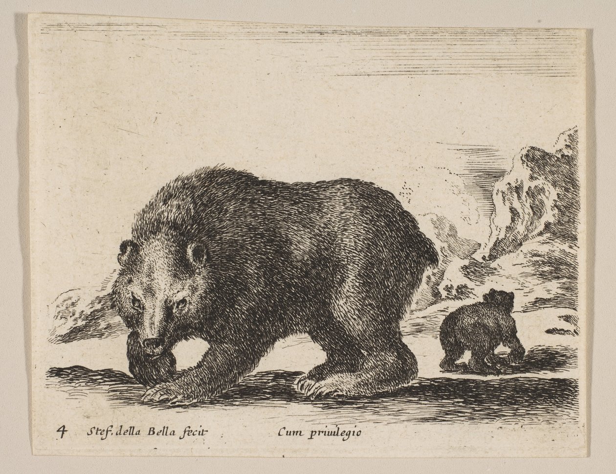 Planche 4 : ours, de 