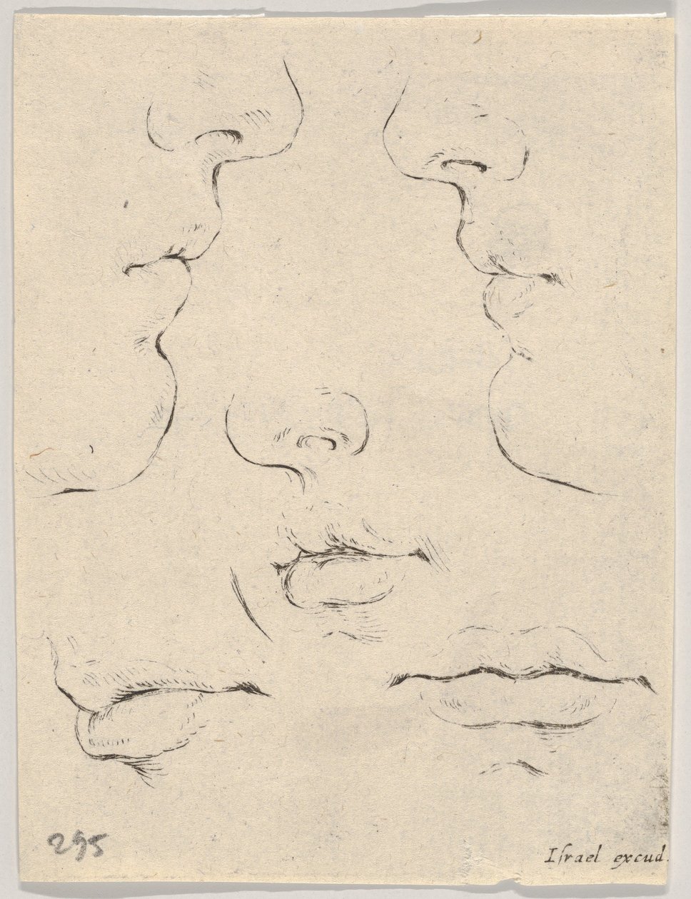 Planche 4 : deux profils et trois bouches, du Livre pour apprendre à dessiner, vers 1649 - Stefano della Bella