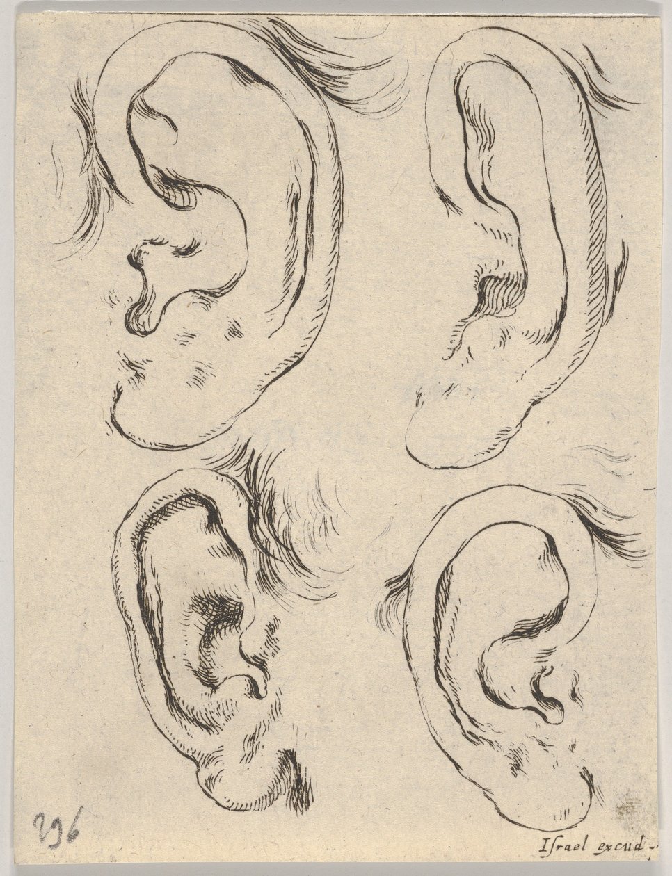 Planche 5: quatre oreilles, du Livre pour apprendre à dessiner, vers 1649 - Stefano della Bella