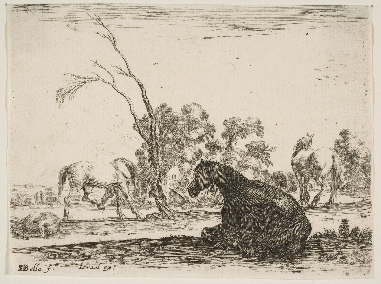 Planche 8 : un cheval assis à droite, vu de derrière et tourné vers la gauche, trois autres chevaux..., 1642 - Stefano della Bella