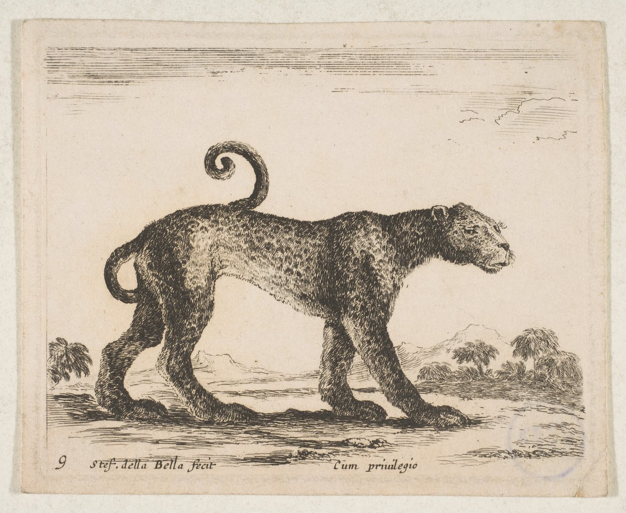 Planche 9 : léopard, de 