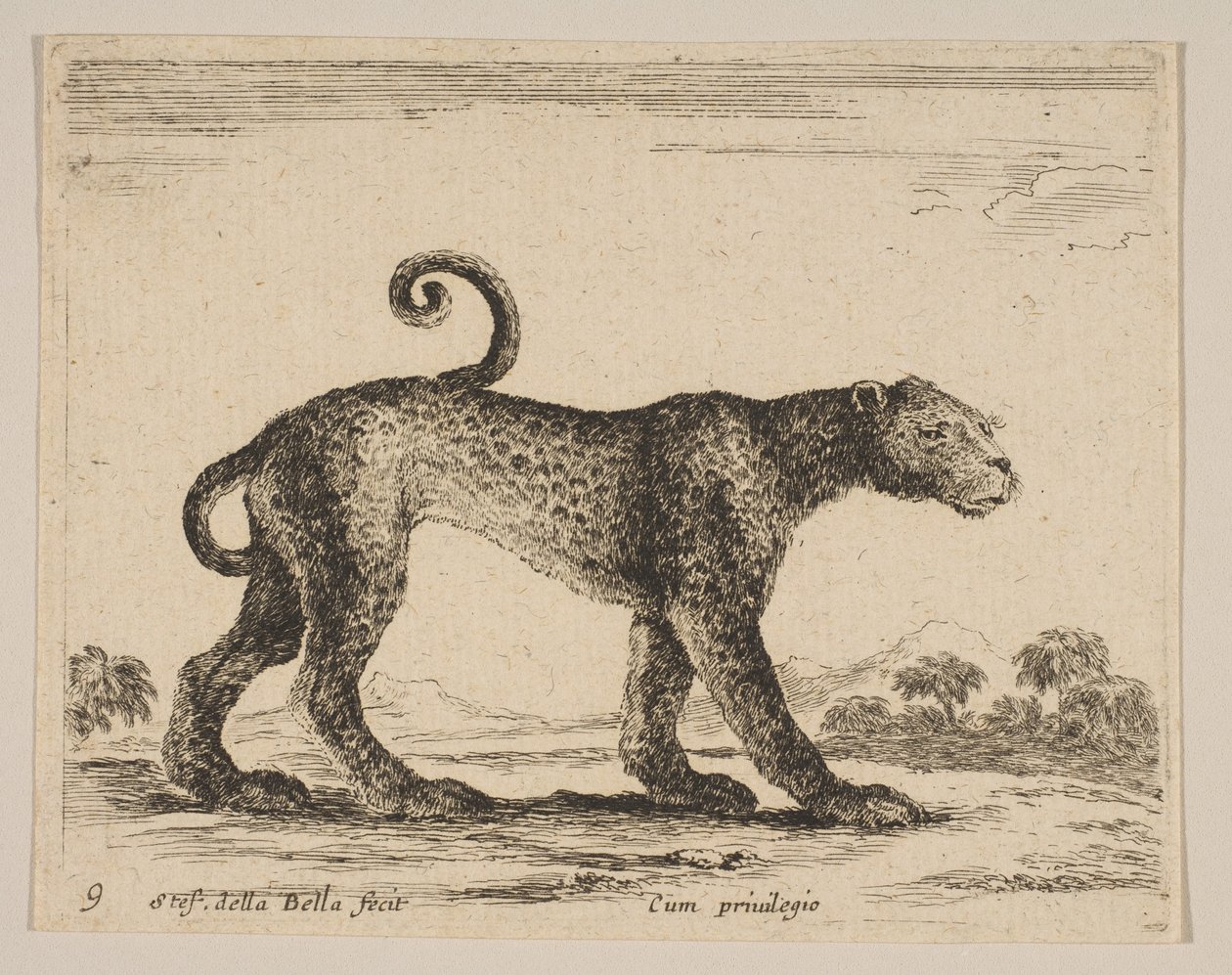 Plaque 9 : léopard, de Divers animaux, vers 1641 - Stefano della Bella