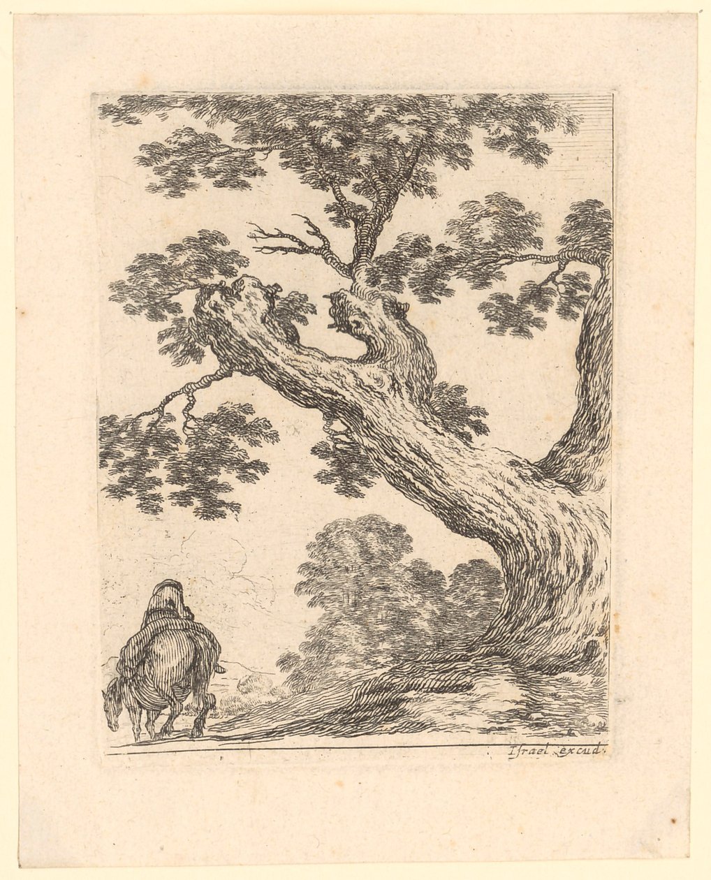 Cavalier vu de dos sous un grand arbre - Stefano della Bella