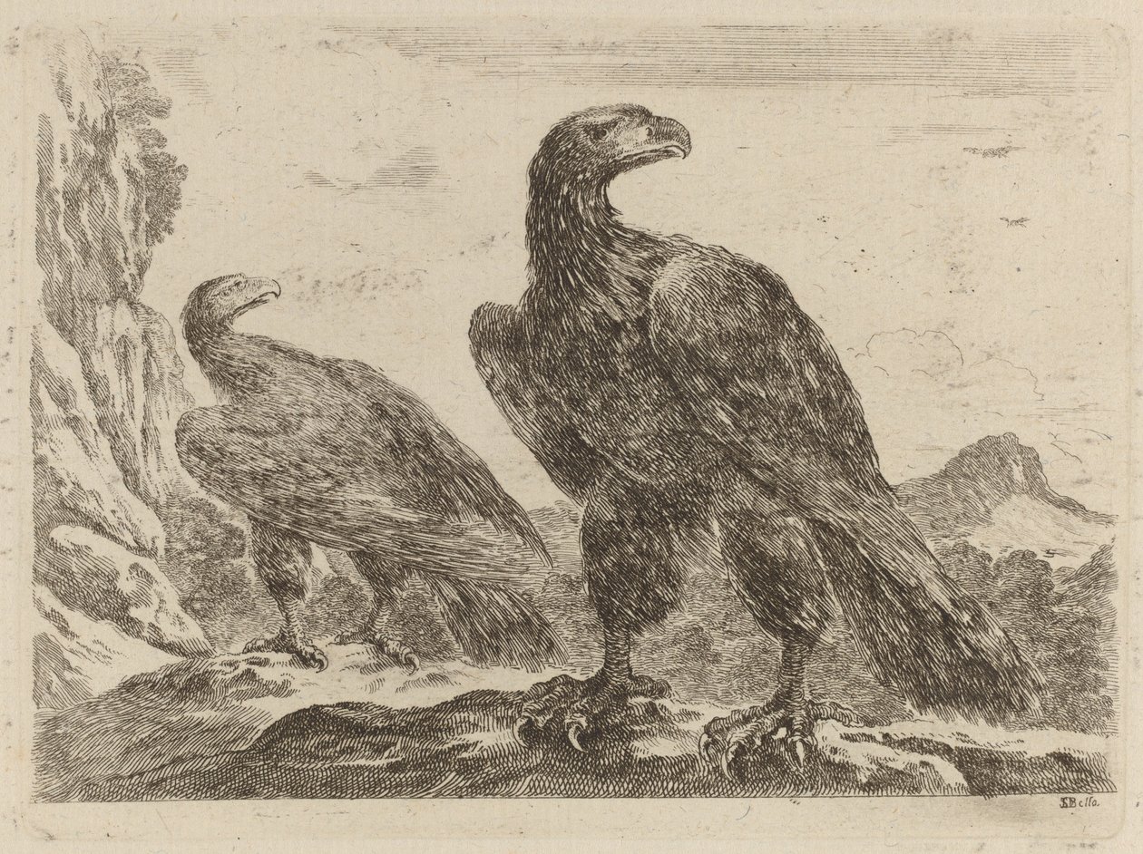 Deux Aigles, Tous Deux avec la Tête Tournée à Droite - Stefano della Bella