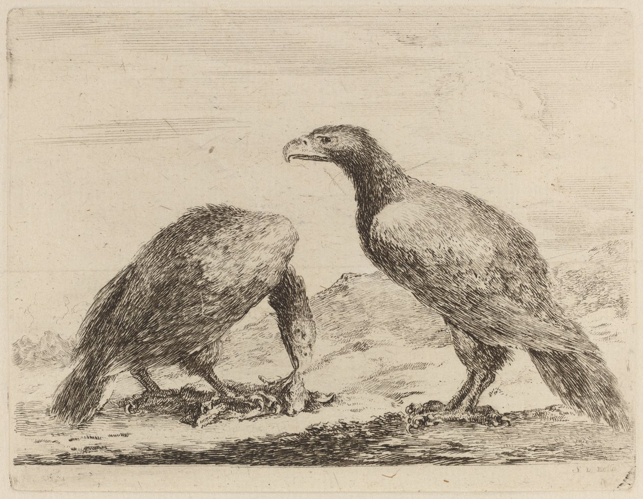 Deux aigles, l