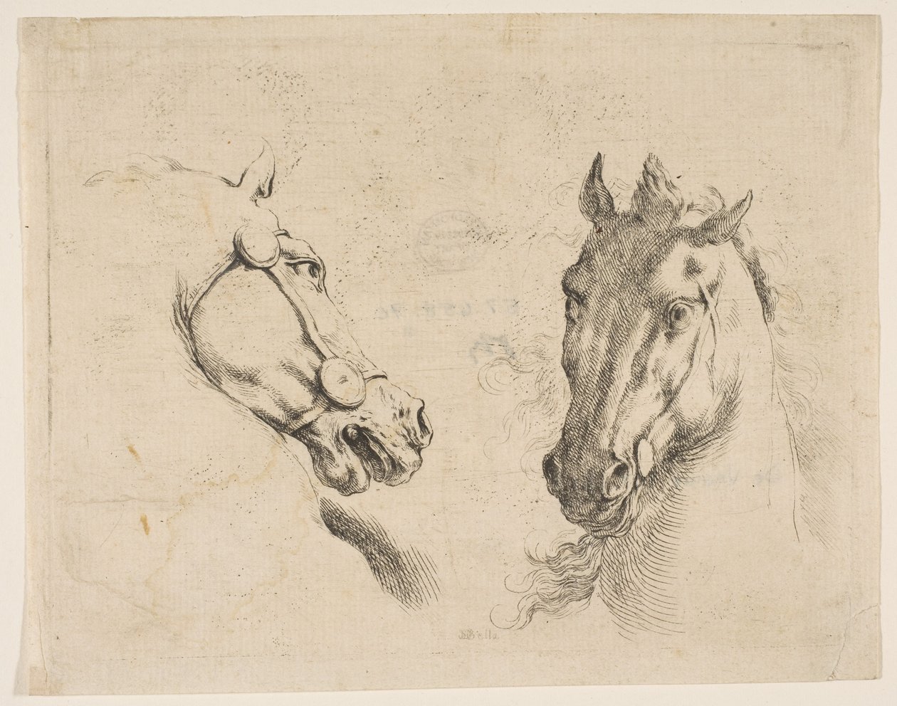 Deux têtes de cheval, vers 1649 - Stefano della Bella
