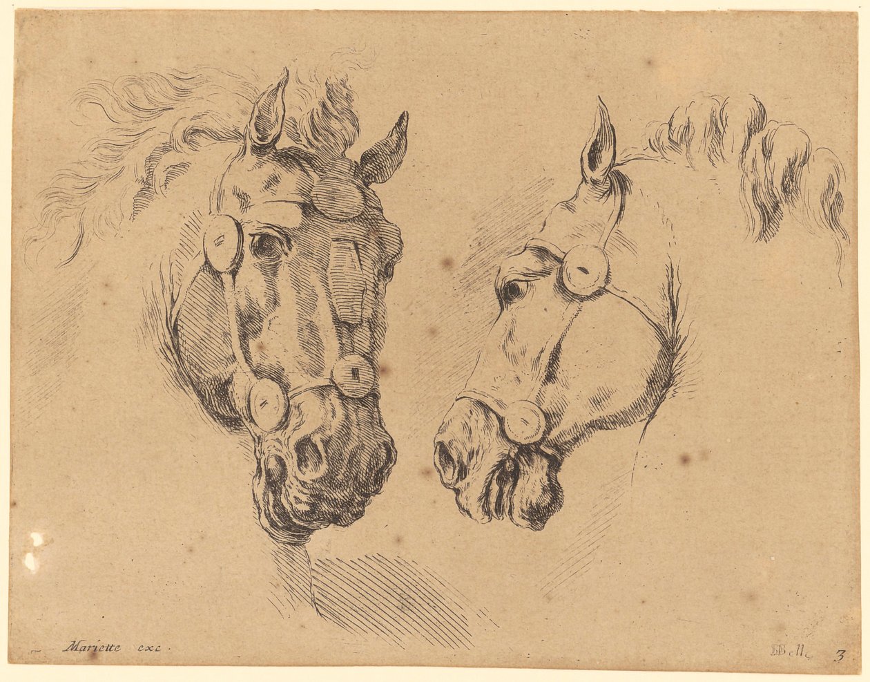 Deux têtes de cheval - Stefano della Bella