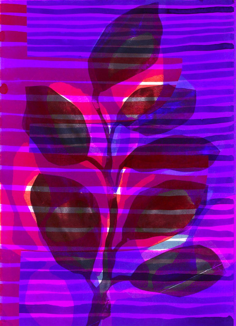 Rayure botanique I, 2018 (numérique) - Stephen Dow
