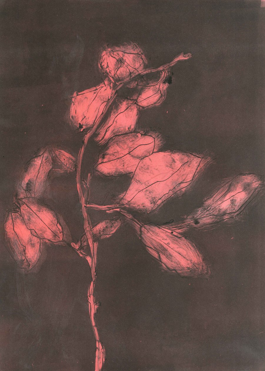 Feuillage I, 2015 (monoprint sur papier) - Stephen Dow