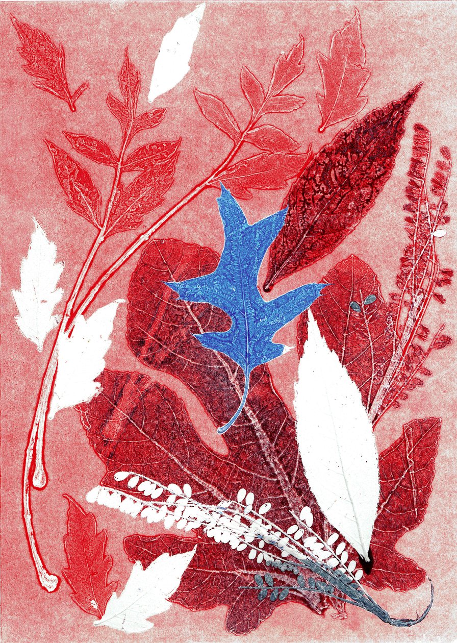 Jol III, 2017 (monoprint sur papier) - Stephen Dow