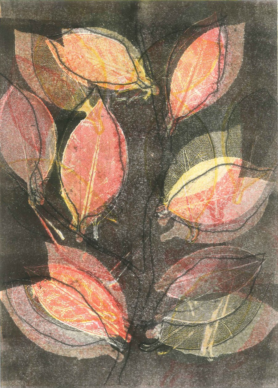 Midnight Garden V, 2015 (monoprint sur papier) - Stephen Dow