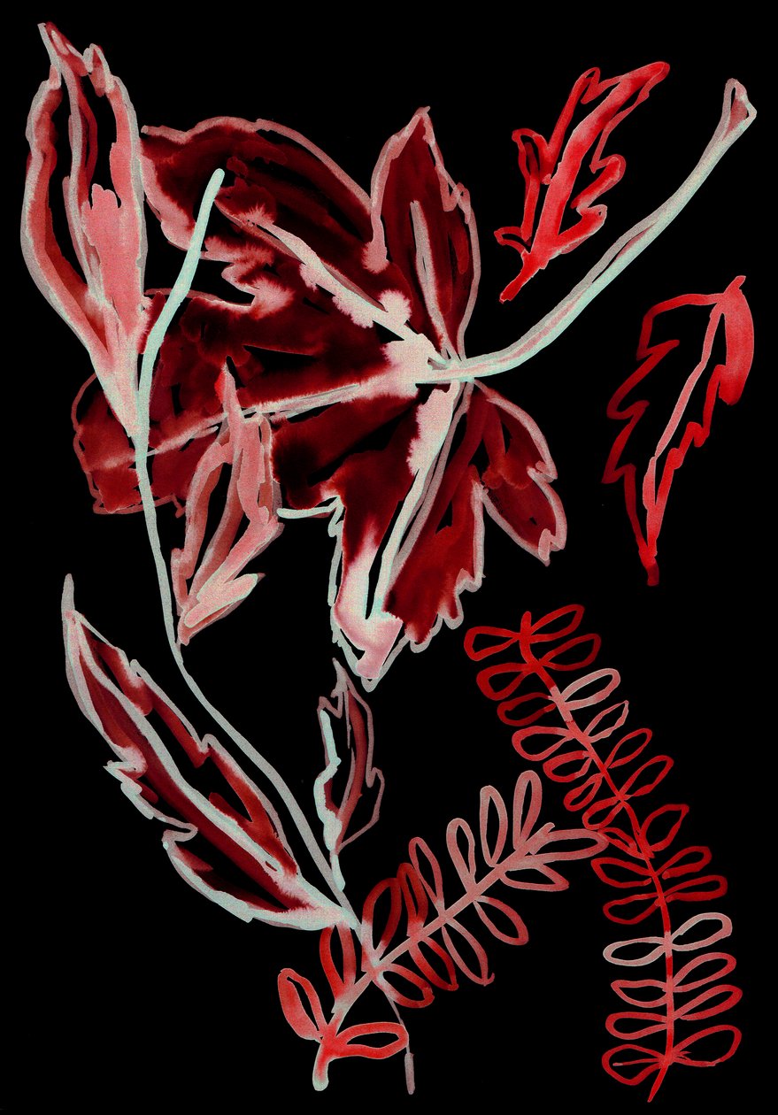 Flore nocturne I, 2018 (numérique) - Stephen Dow