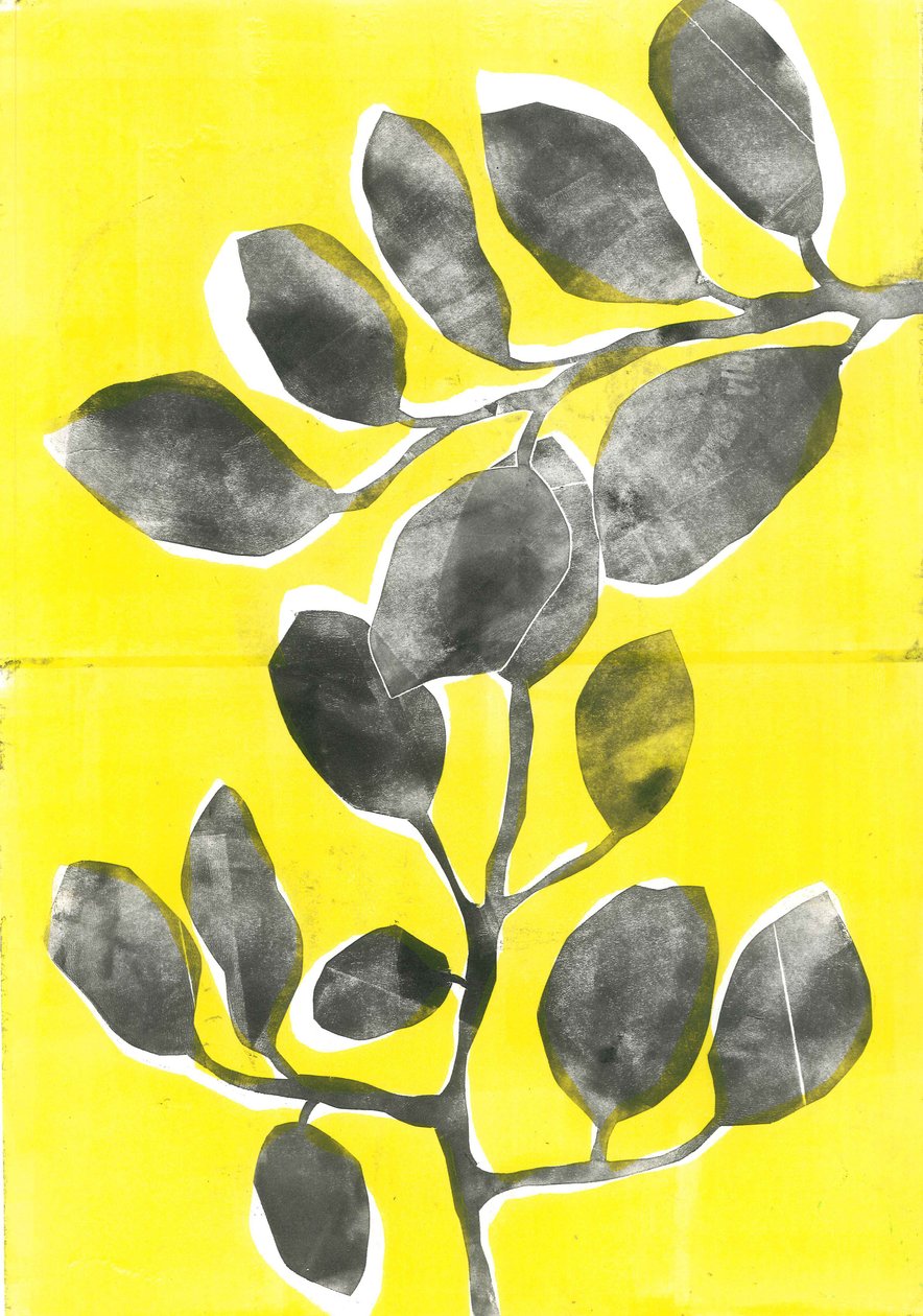 Jardin d